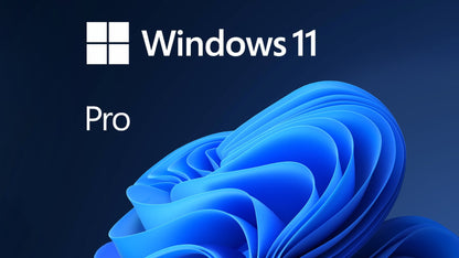 Microsoft Windows 11 Pro (PC)