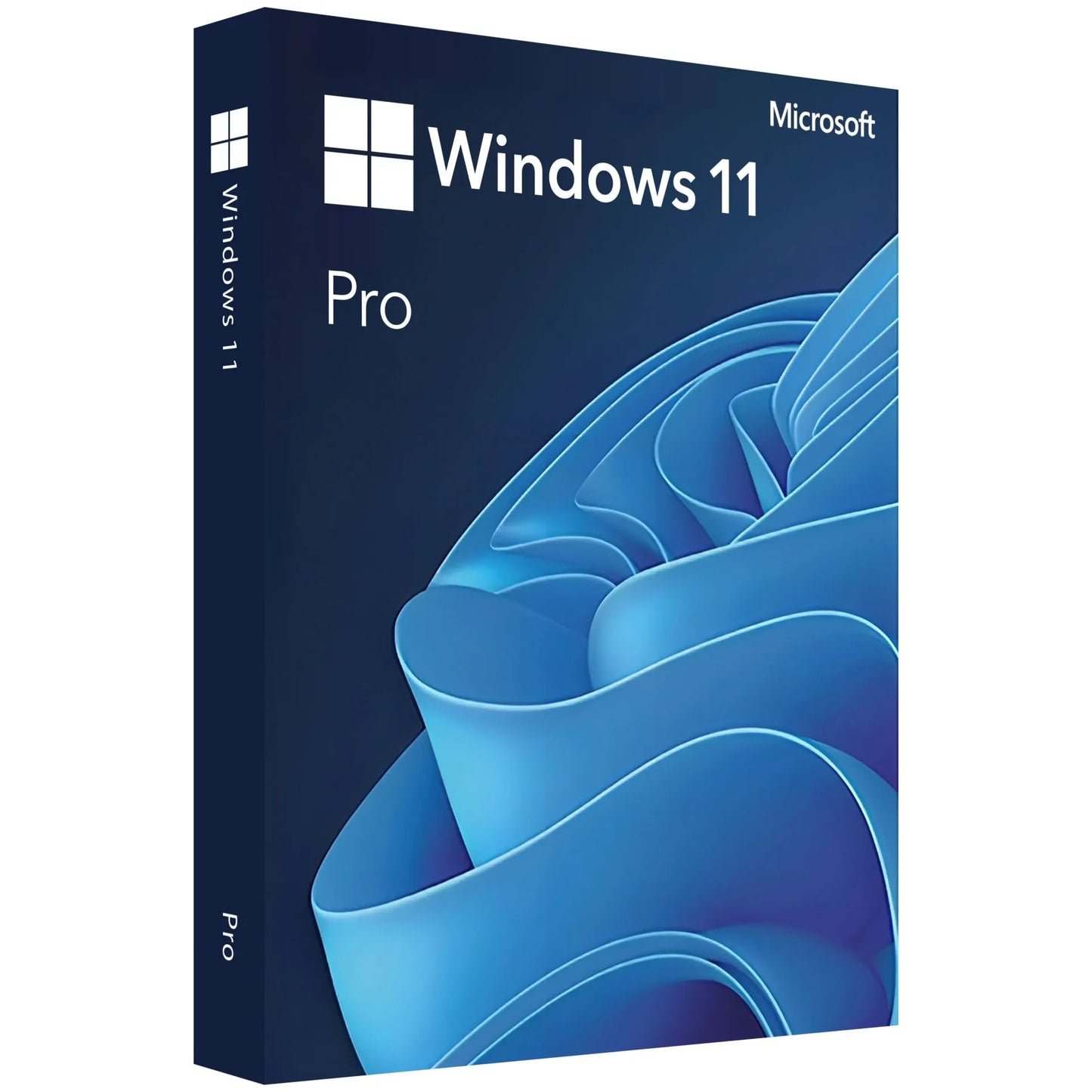 Microsoft Windows 11 Pro (PC)